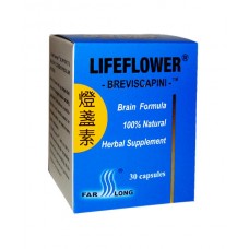 Lifeflower® Breviscapini Brain Formula (Deng Zhan Su) 